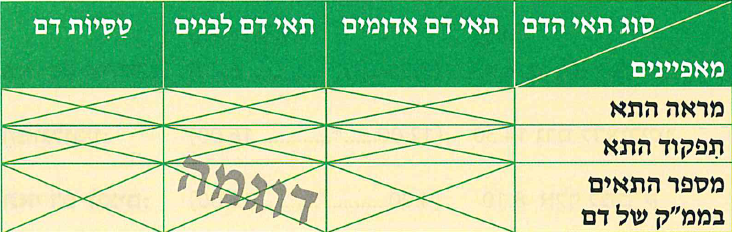 (בספר איור:)